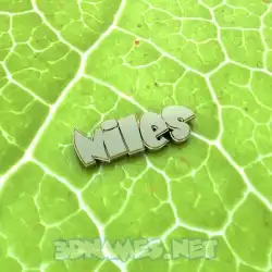 niles in Gold Leaf style - 3D name wallpaper