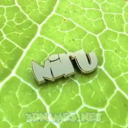 niru in Gold Leaf style - 3D name wallpaper