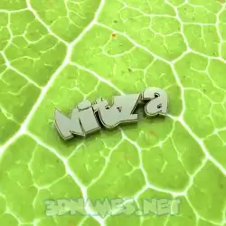 nitza in Gold Leaf style - 3D name wallpaper
