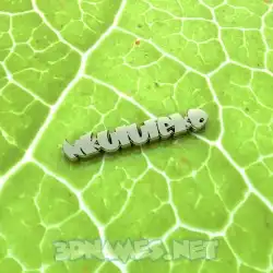 nkululeko in Gold Leaf style - 3D name wallpaper