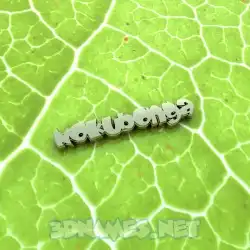 nokubonga in Gold Leaf style - 3D name wallpaper
