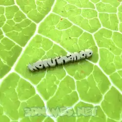 noluthando in Gold Leaf style - 3D name wallpaper