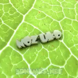 nozuko in Gold Leaf style - 3D name wallpaper