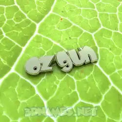 ozgun in Gold Leaf style - 3D name wallpaper