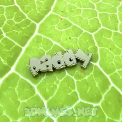paddy in Gold Leaf style - 3D name wallpaper