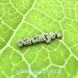 ramanjot in Gold Leaf style - 3D name wallpaper