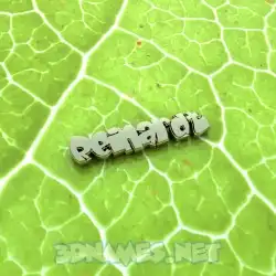 reinardt in Gold Leaf style - 3D name wallpaper