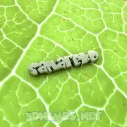 samareko in Gold Leaf style - 3D name wallpaper