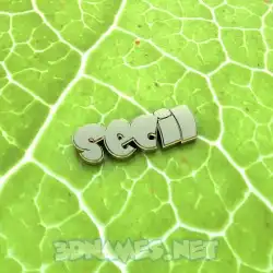 secil in Gold Leaf style - 3D name wallpaper