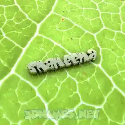 shameema in Gold Leaf style - 3D name wallpaper