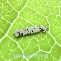 shanky in Gold Leaf style - 3D name wallpaper