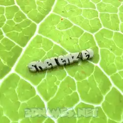 sherenzel in Gold Leaf style - 3D name wallpaper