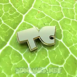 tc in Gold Leaf style - 3D name wallpaper