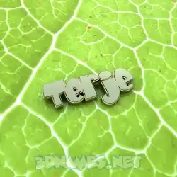 terje in Gold Leaf style - 3D name wallpaper