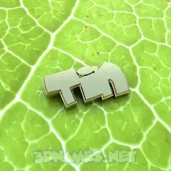 tin in Gold Leaf style - 3D name wallpaper