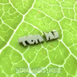 tom mi in Gold Leaf style - 3D name wallpaper
