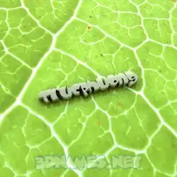trucphuong in Gold Leaf style - 3D name wallpaper