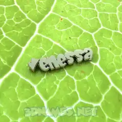 venessa in Gold Leaf style - 3D name wallpaper