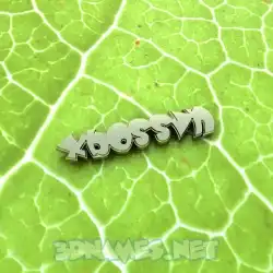 xbossvn in Gold Leaf style - 3D name wallpaper