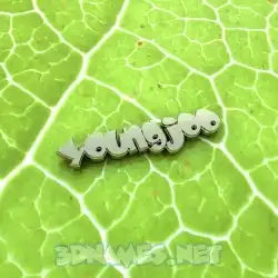 youngjoo in Gold Leaf style - 3D name wallpaper