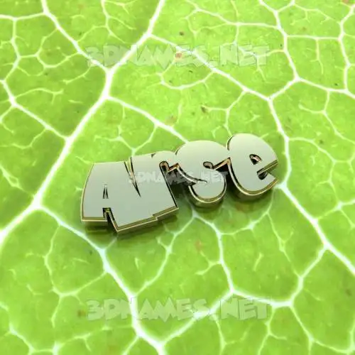arse in Gold Leaf style - 3D name wallpaper