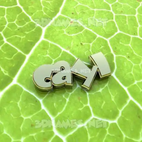 cayl in Gold Leaf style - 3D name wallpaper cayl in Gold Leaf style - 3D name wallpaper