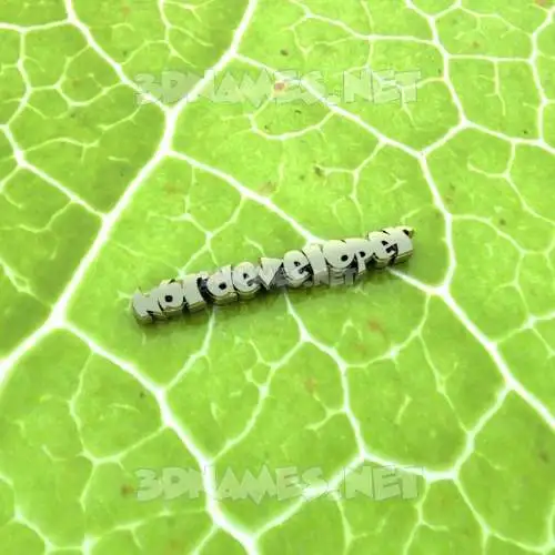 nbrdeveloper in Gold Leaf style - 3D name wallpaper