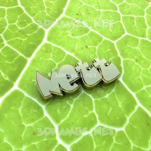 nett in Gold Leaf style - 3D name wallpaper nett in Gold Leaf style - 3D name wallpaper