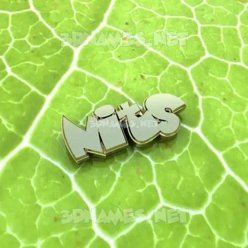 nits in Gold Leaf style - 3D name wallpaper