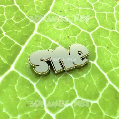 sne in Gold Leaf style - 3D name wallpaper