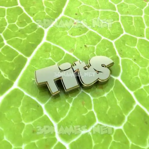tits in Gold Leaf style - 3D name wallpaper