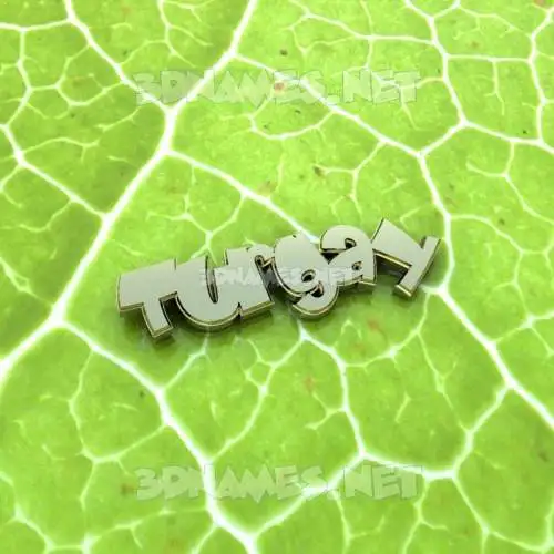 turgay in Gold Leaf style - 3D name wallpaper turgay in Gold Leaf style - 3D name wallpaper