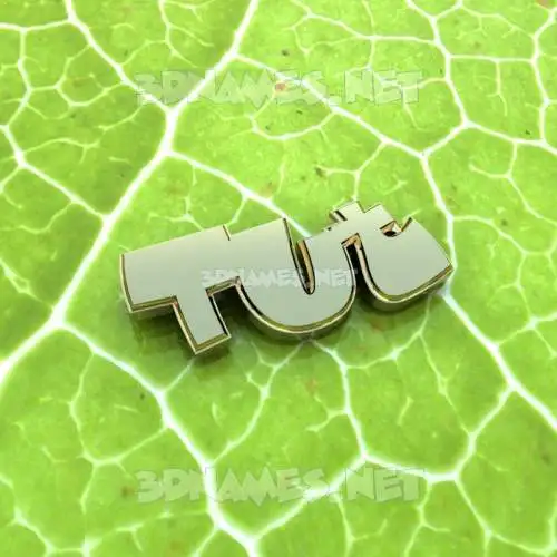 tut in Gold Leaf style - 3D name wallpaper tut in Gold Leaf style - 3D name wallpaper