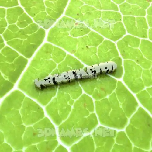 watermelon in Gold Leaf style - 3D name wallpaper watermelon in Gold Leaf style - 3D name wallpaper