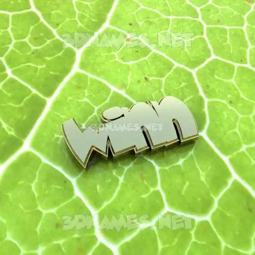 winn in Gold Leaf style - 3D name wallpaper