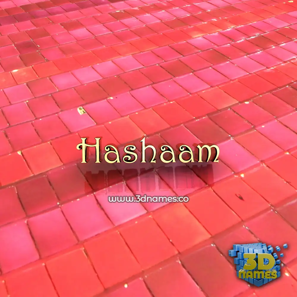 hashaam in Red Tiles style - 3D name wallpaper