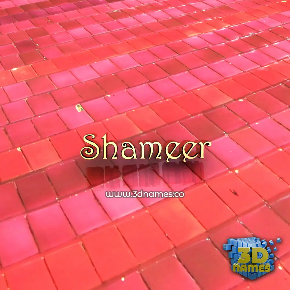 shameer in Red Tiles style - 3D name wallpaper shameer in Red Tiles style - 3D name wallpaper