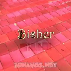 bisher in Red Tiles style - 3D name wallpaper