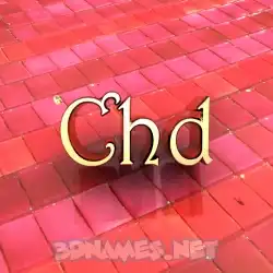 chd in Red Tiles style - 3D name wallpaper