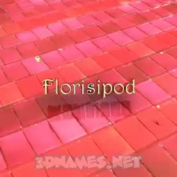 florisipod in Red Tiles style - 3D name wallpaper