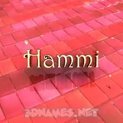 hammi in Red Tiles style - 3D name wallpaper