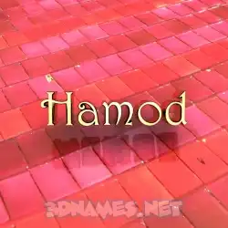 hamod in Red Tiles style - 3D name wallpaper