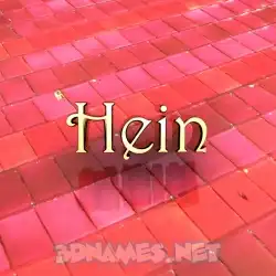 hein in Red Tiles style - 3D name wallpaper