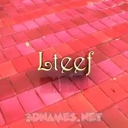 lteef in Red Tiles style - 3D name wallpaper