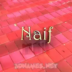 naif in Red Tiles style - 3D name wallpaper