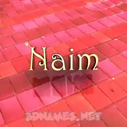 naim in Red Tiles style - 3D name wallpaper