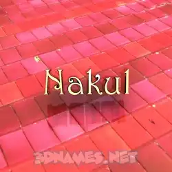 nakul in Red Tiles style - 3D name wallpaper