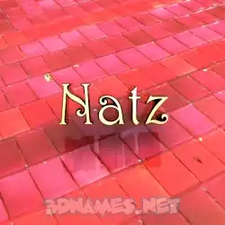 natz in Red Tiles style - 3D name wallpaper