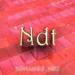 ndt in Red Tiles style - 3D name wallpaper