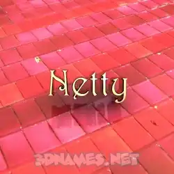 netty in Red Tiles style - 3D name wallpaper